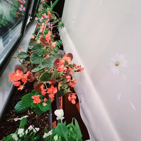 Lovely New Near Tirana's Artificial Apartamento *